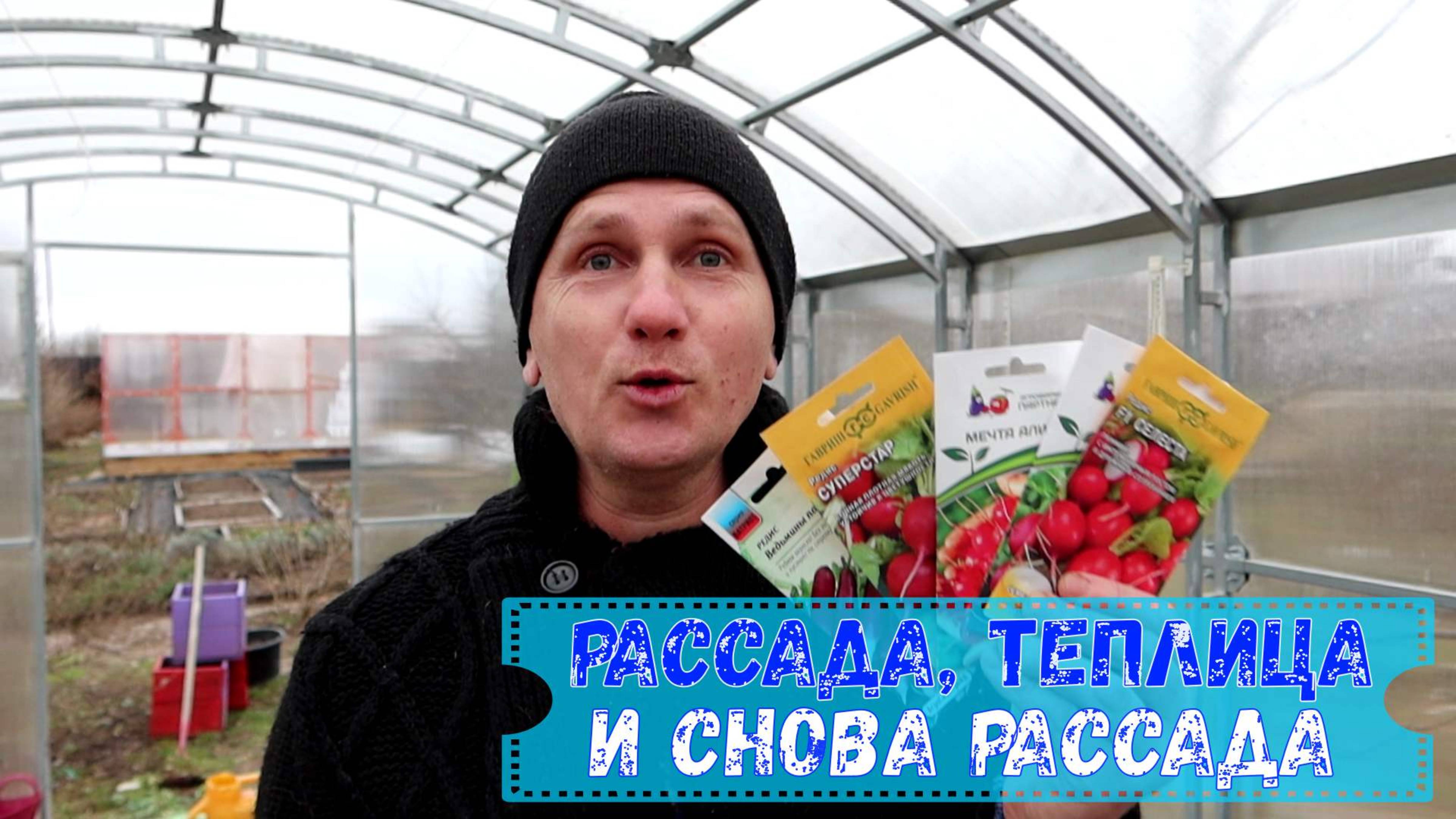 Рассада, теплица и снова рассада! (март 2024 г.)