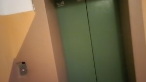 Лифт ЩЛЗ 2009 г