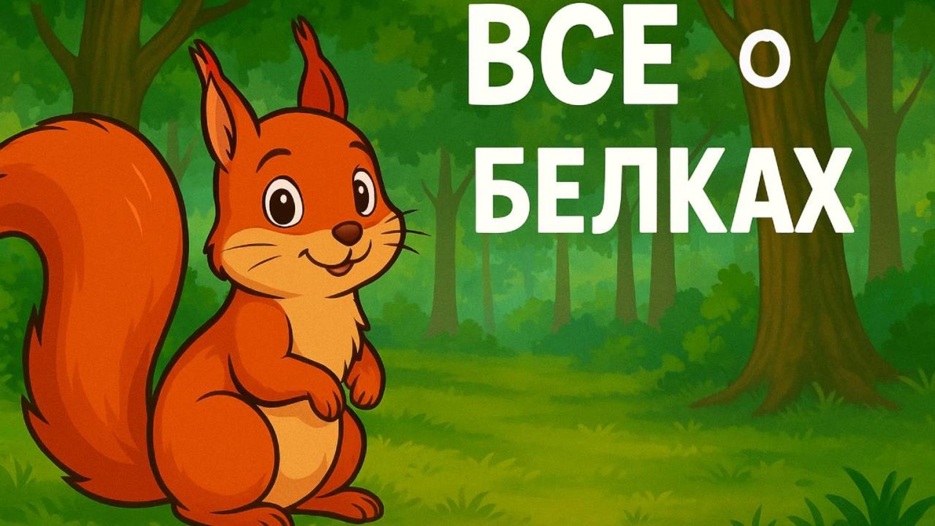 Развивающее видео о белках для детей смотреть онлайн