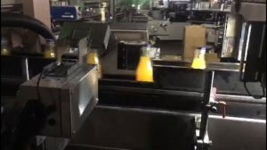 Инспектор контроля протечек стеклянных бутылок Leakage Inspection for Beer Bottles video