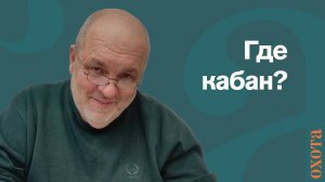 Кабан не приходит. Валерий Кузенков о том, когда ждать кабана.