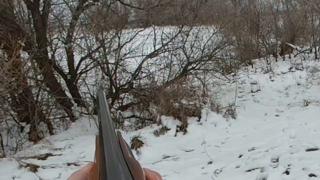 08 11 2024 Охота на зайчика  Первый снег
