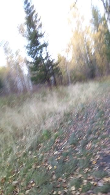 Хз что писать