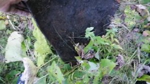 Металлокоп. Хотел покопать монеты. А получилось смотрите что😉😉😉