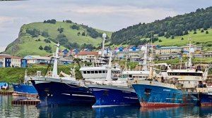 Путешествие на Курилы | Теплоход «Адмирал Невельской» | Остров Итуруп