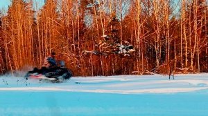 снегоход sharmax shp 680 luxe