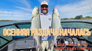 Лучшая рыбалка, сотни пойманных рыб, один из 3х дней