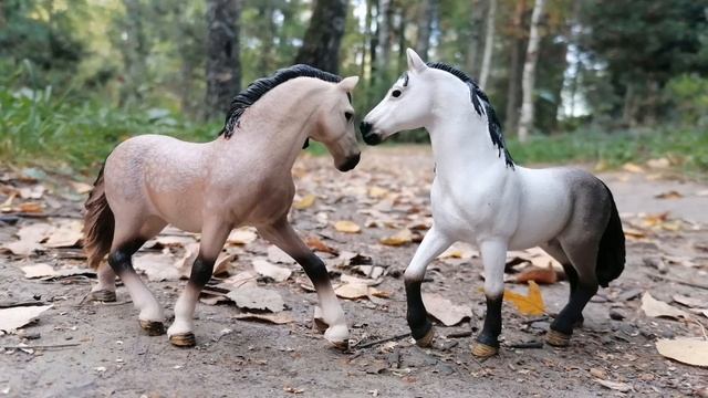 Осенний фотосет 🐎. Лошади шляйх видео.