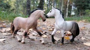 Осенний фотосет 🐎. Лошади шляйх видео.