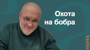 Охота на бобра. Валерий Кузенков о лекциях по бобру.