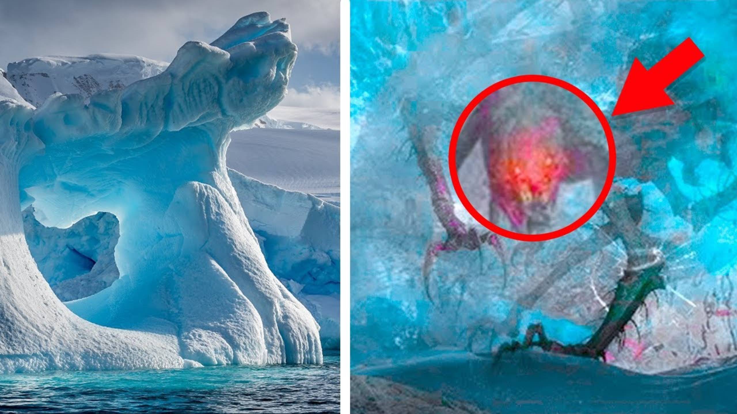 14 Находок в Антарктиде, которые поразили исследователей