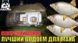 ИДЕАЛЬНЫЙ ВОДОЁМ ДЛЯ БЕШЕННОГО ФАРМА И ПРОКАЧКИ МАХОВОЙ ЛОВЛИ В РУССКОЙ РЫБАЛКЕ 4 РР4