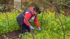 Наконец-то дождалась. Помощь подоспела. Зачем я это делаю? Жизнь семьи в деревне.