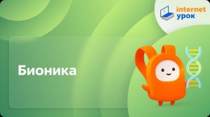 Биология 11 класс. Бионика