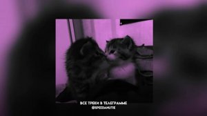 ♡плейлист НЕ популярных песен из тик тока 2025♡ (speed up)