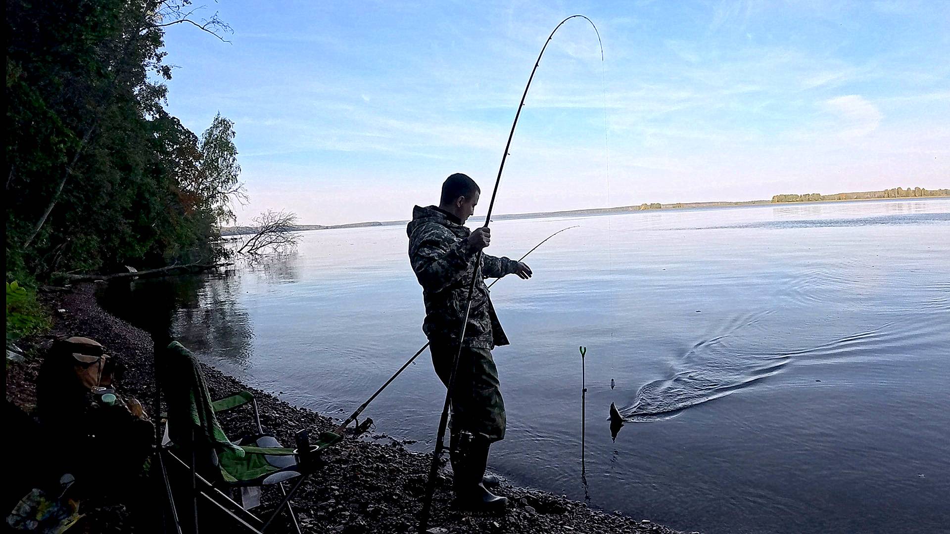 Утрянка На Волге. Осень Близко. Рыба Наедается.