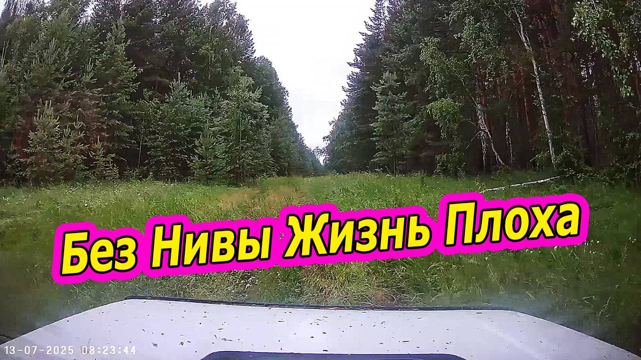 В Тайге на Ниве: Лето Кончается, а Нива Тут к Стати! 🚗🌲 смотреть онлайн