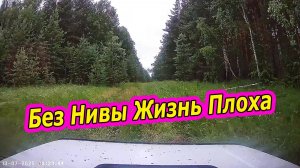 В Тайге на Ниве:  Лето Кончается, а Нива Тут к Стати! 🚗🌲