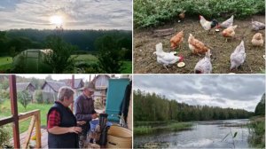 И СНОВА ЯБЛОКИ, ЛЁШИК СОБИРАЕТ, Я ДАВЛЮ СОК. БЫЛИ У КУРОЧЕК И НА БЕРЕГУ.