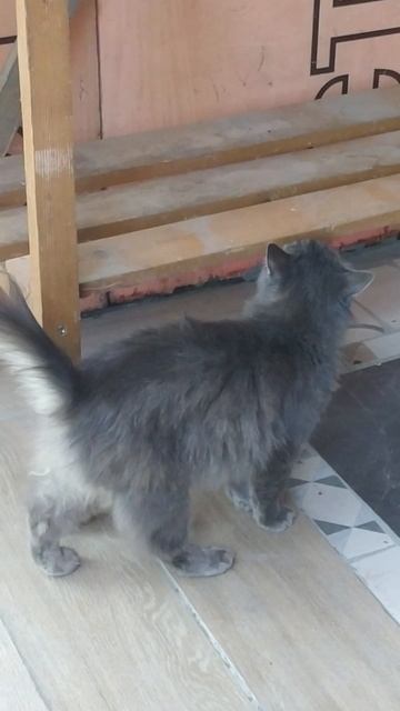 Приводим в порядок пол котельной.