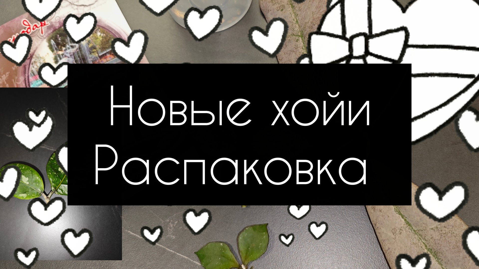 новые хойи// распаковка смотреть онлайн