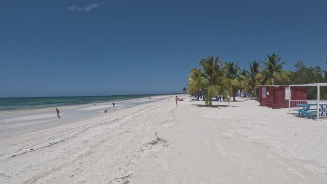 Куба, May 2024, остров Кайо-Коко (Cayo Coco) смотреть онлайн