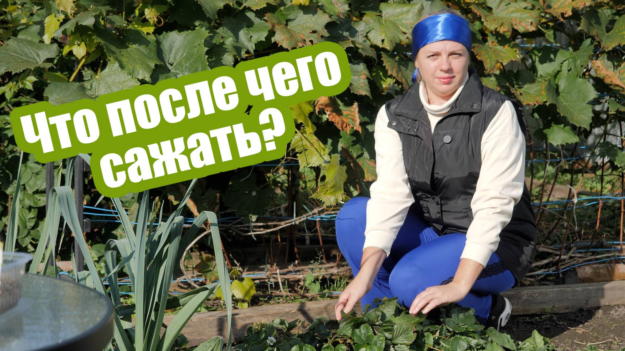 Севооборот в огороде: как чередовать культуры на участке смотреть онлайн