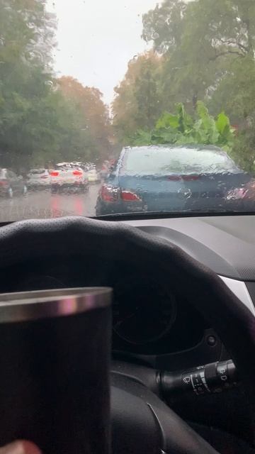 Пост, как дождик помогает нашему саду и огороду 🌧️🌱