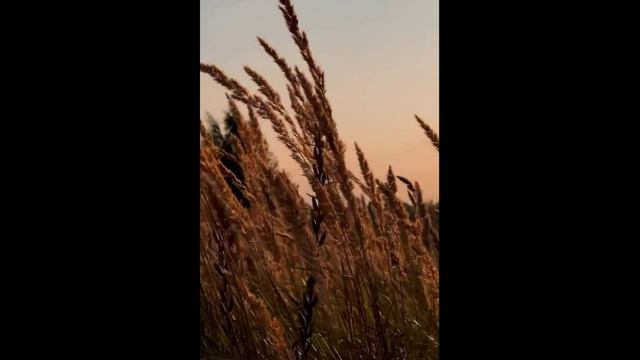 Вот такое было лето. смотреть онлайн