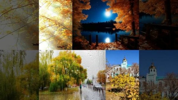 Осенние лучики (mp3cut.net) (online-video-cutter.com)