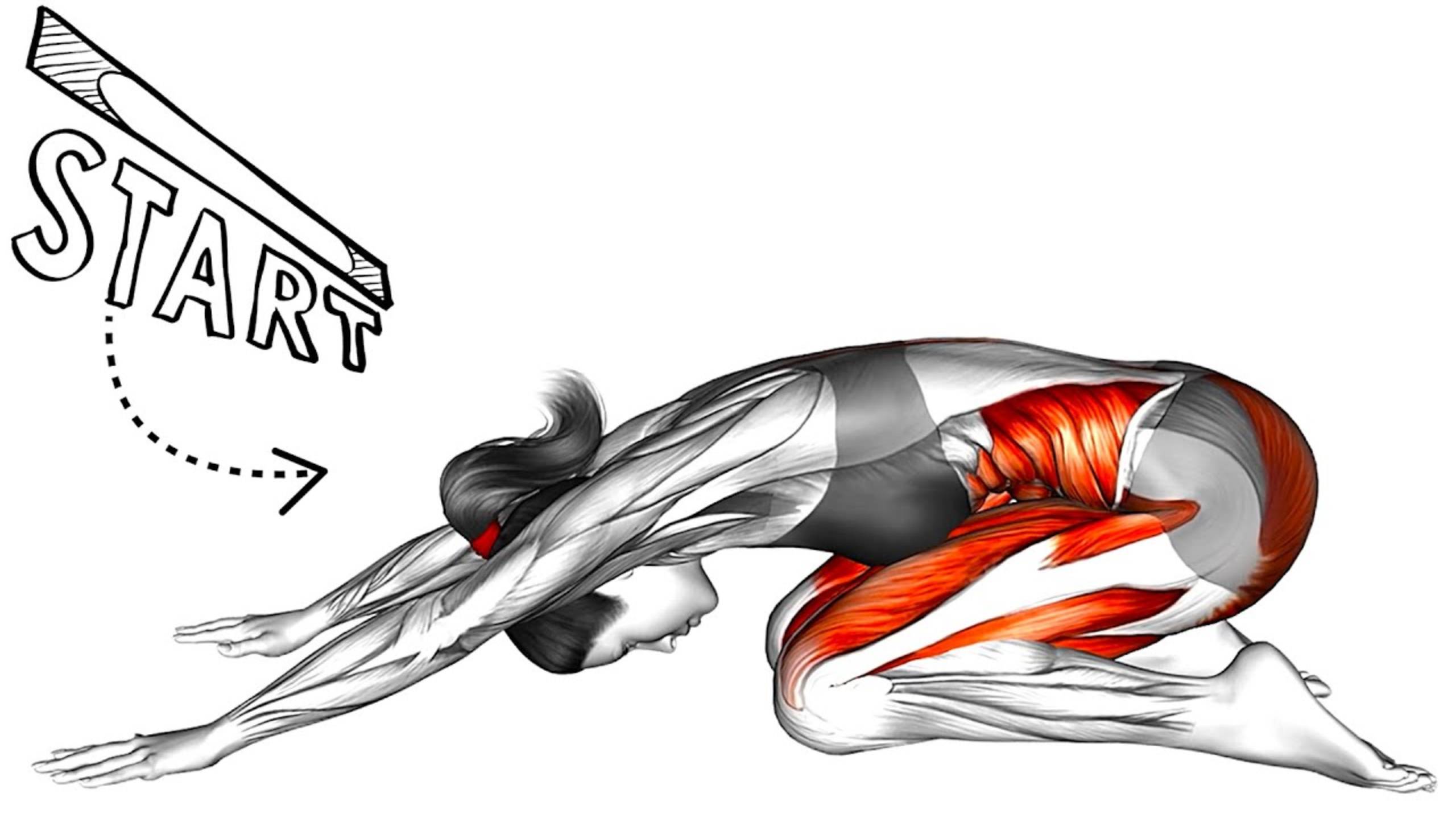 Упражнения перед сном смотреть онлайн