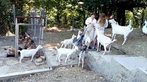 Отпуск 2025 Сочи Часть 5.Голубая лагуна. ЭкоФерма. Воздушный шар