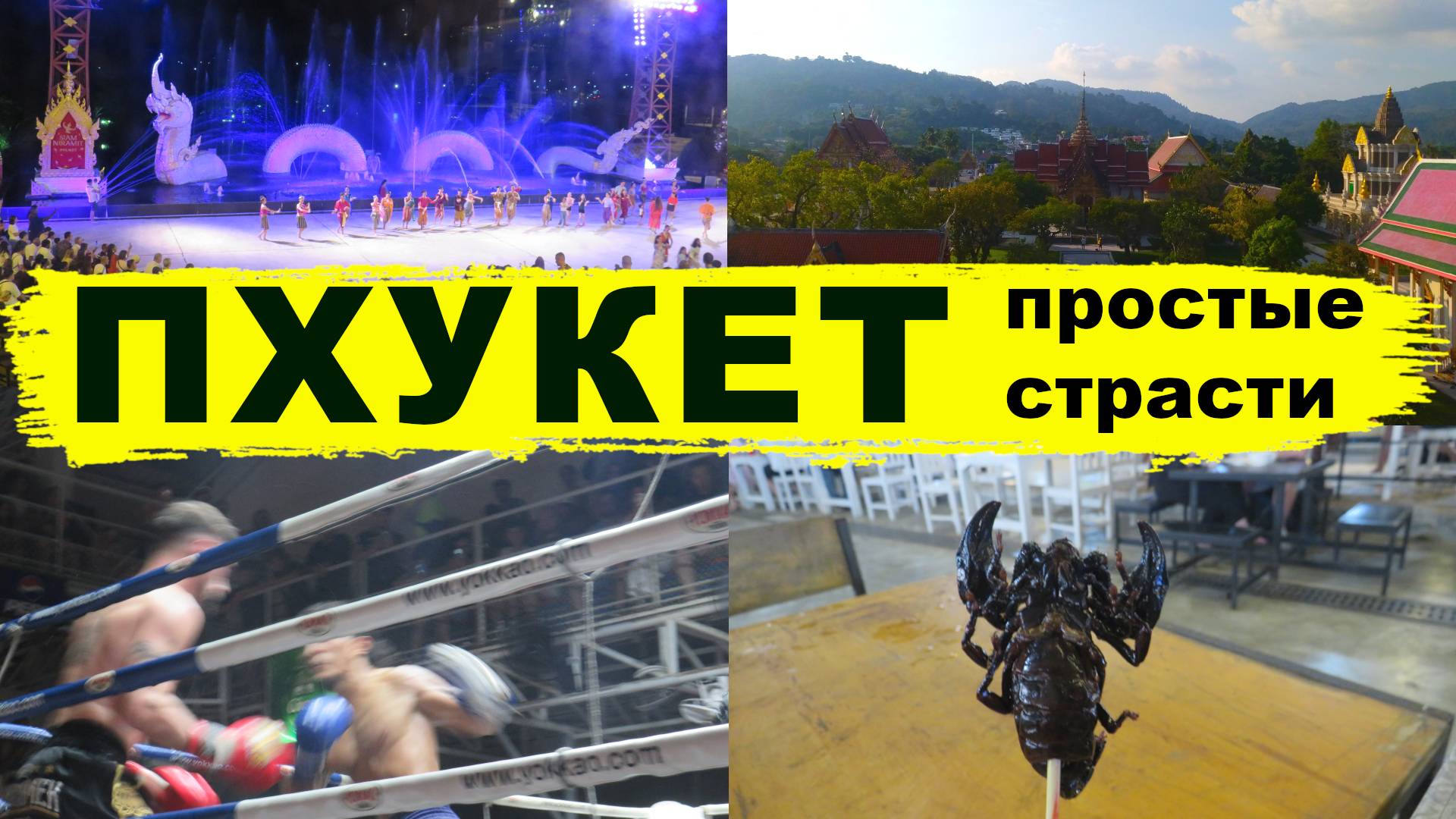 Как я съел скорпиона и другие экскурсии на Пхукете