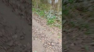 Приключения под названием второе