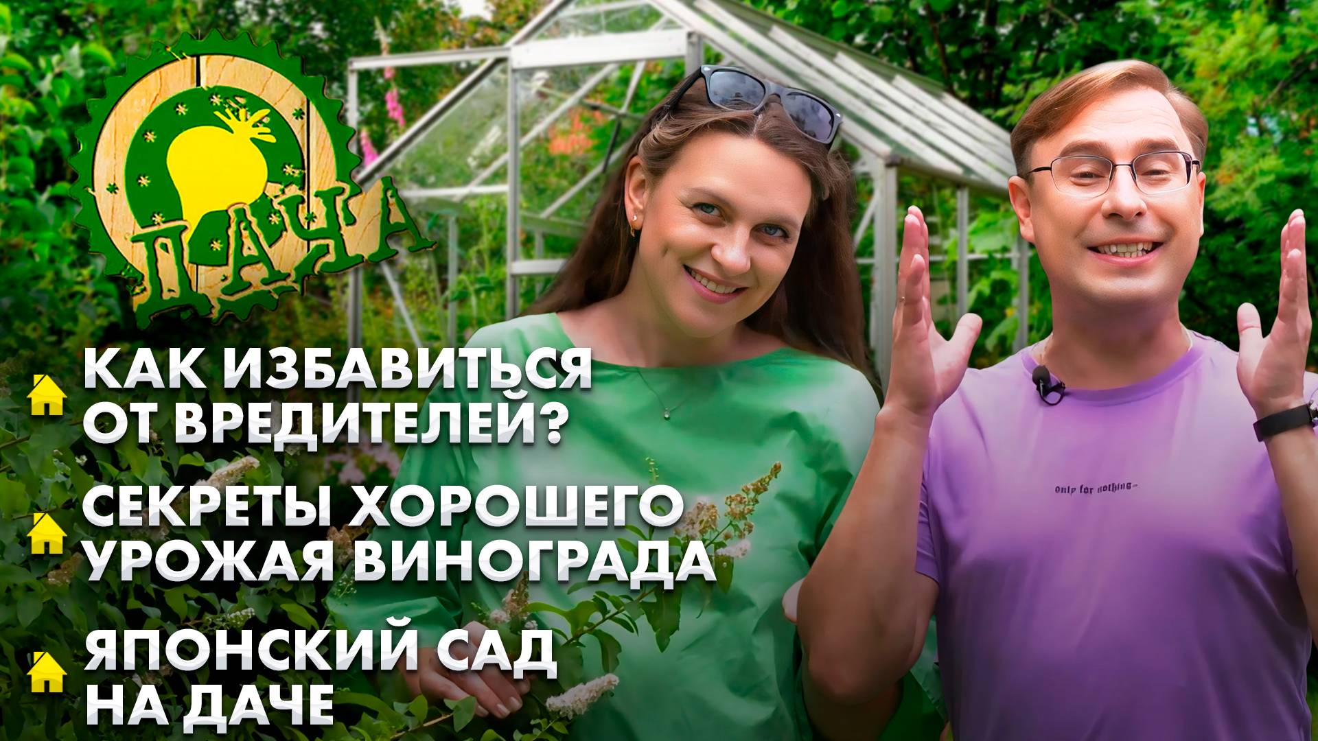 Отменный урожай винограда | Профилактика появления вредителей | Японский сад. Дача