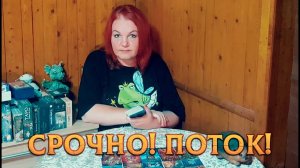СРОЧНАЯ ИНФОРМАЦИЯ ИЗ ПОТОКА!  ЭТО НУЖНО УСЛЫШАТЬ ПРЯМО СЕЙЧАС! | Гадание таро расклад