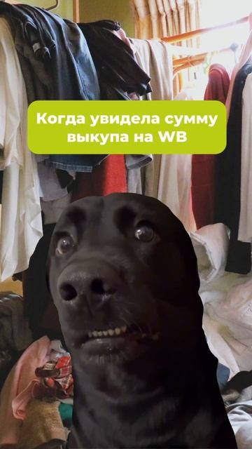 Почему мы тратим деньги на ненужные вещи и как научиться себя контролировать? 💸 смотреть онлайн