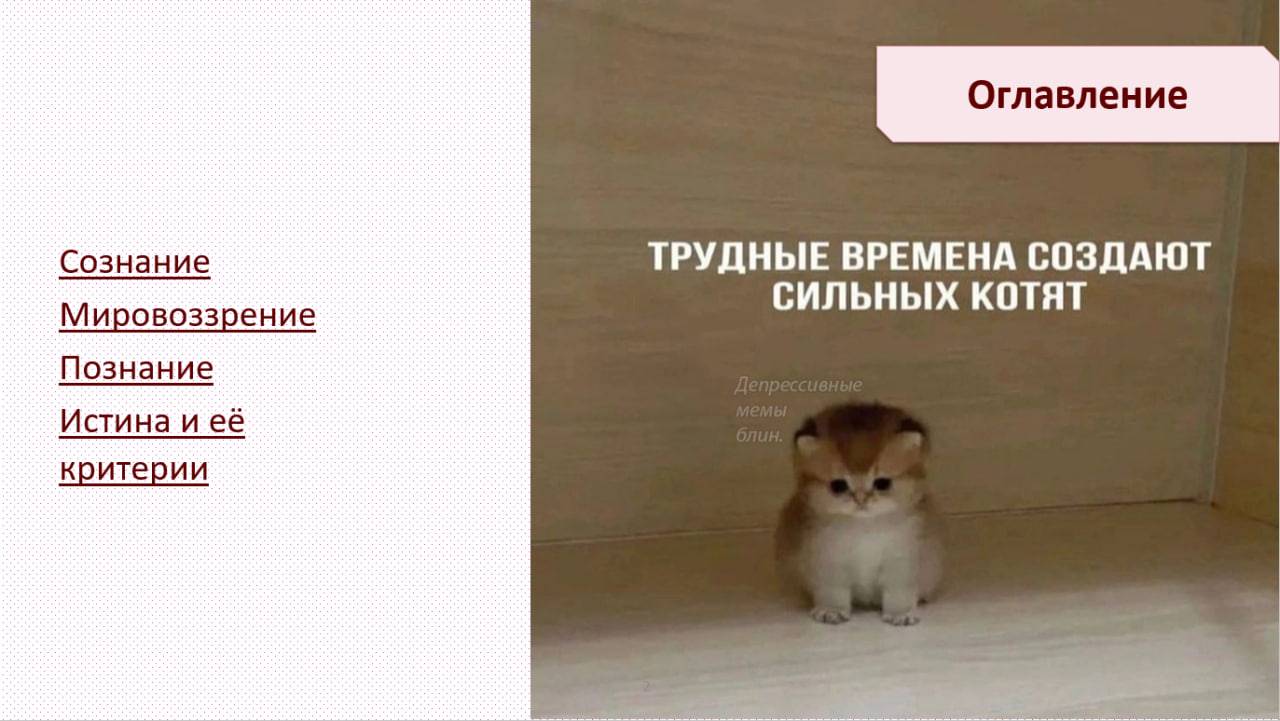 Истина. Общество