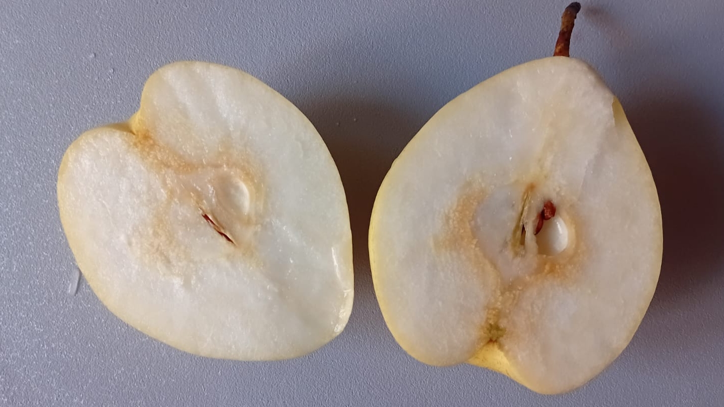 ГРУШИ ЗАПЕЧЕННЫЕ с ТВОРОЖНОЙ МАССОЙ, ВАРЕНЬЕМ и ОРЕХАМИ