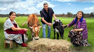 Фруктово-ягодное мороженое и блины — готовим в тишине азербайджанской деревни