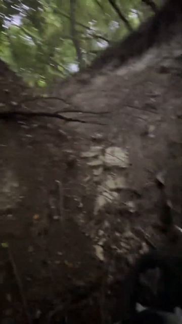 4 июля 2025 г. смотреть онлайн