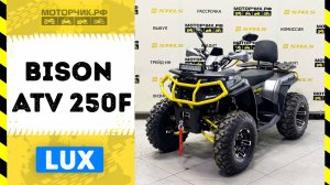 Квадроцикл Bison ATV 250F LUX