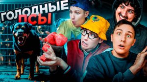 ГОЛОДНЫЕ ПСЫ | Сериал ЗАКРЫТАЯ ШКОЛА - 5 серия