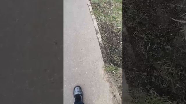 стрим с Жекой смотреть онлайн