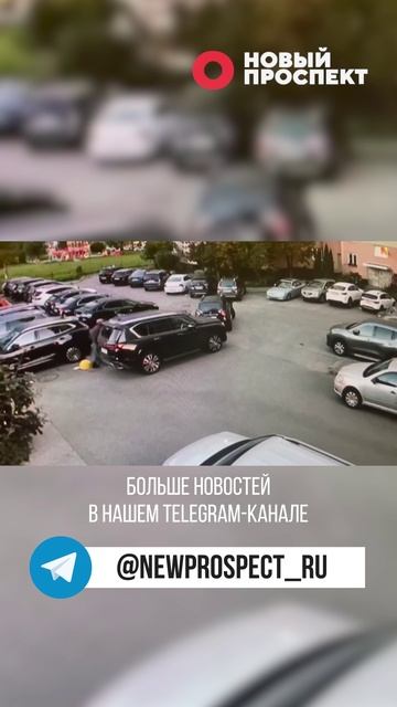 В Петербурге предотвратили громкое убийство смотреть онлайн