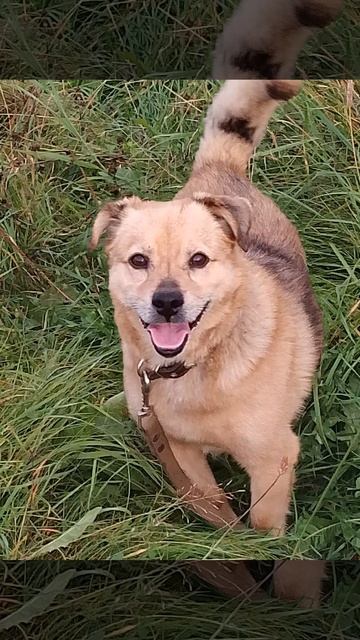 20250919_085142-CINEMATIC.mp4