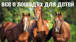 Лошади и их звуки для детей. Развивающее видео о лошадях!