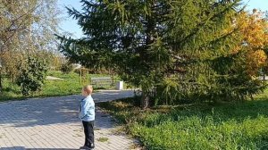 ПРОСТОЙ ОБЕД ПРИГОТОВИЛА/ПОСИДЕЛИ В КАФЕ, ЗАШЛИ НА БАЗАР, ЧИЖИК.