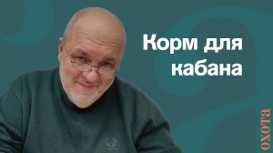 Корм для кабана. Валерий Кузенков о прикормке кабана.