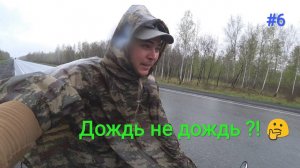 6. Сезон дождивика открыт! 😁